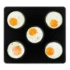 Unox Bandeja Eggs GN 2/3